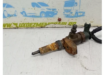 Injector 0445110252 Citroen C3 1 (2002 - 2010) 1.4 hdi 1.4 hdi 8HZ
