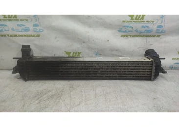 Radiator intercooler 144610001N Renault Talisman 1 (2012 - 2020) 1.6 dci R9M409 R9M409