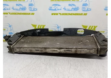 Radiator intercooler 8200411160 Renault Trafic 2 (facelift) (2006 - 2015) 2.0 dci M9R692
