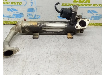Racitor gaze EGR 03G131512G Volkswagen Passat B6 (2005 - 2010)