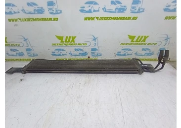 Radiator ulei Hyundai Santa Fe CM (2006 - 2010) 2.2 crdi D4EB