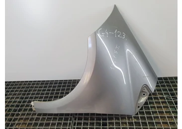 Aripa stanga fata Mercedes Benz A-Class W169 (2004 - 2008) m266.920