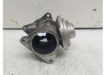 EGR 038131501AR Volkswagen Golf 5 (2003 - 2009) BKC