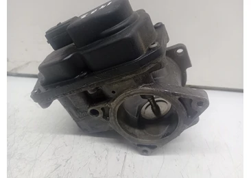 EGR Volkswagen Passat CC 1 (2008 - 2012) 2.0 TDI CBAB