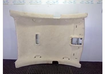 Plafon interior Volkswagen Passat CC 1 (2008 - 2012) 2.0 TDI CBAB