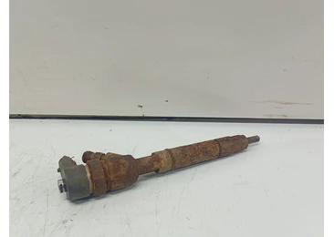 Injector 0445110296 Honda Civic 8 (facelift) (2007 - 2012) 2.2 CDTi n22a2