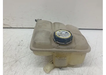 Vas expansiune 8V61-8K218AE Ford Focus 3 (2011 - 2015) T3DA