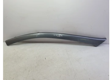 Ornament parbriz Peugeot 607 1 (2000 - 2004) 2.2 hdi 4HX DW12TED4