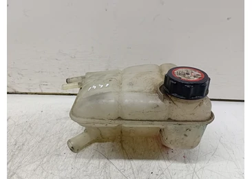 Vas expansiune 98AB-8k218-BH Ford Focus 1 (1999 - 2004) FYDD