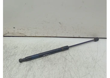 Amortizor haion 0168230550N Volkswagen Passat B6 (2005 - 2010) - miniatura 2