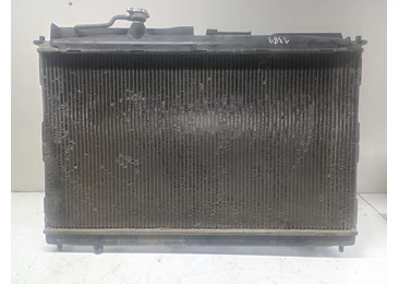 Radiator apa Hyundai Santa Fe CM (2006 - 2010) 2.2 CRDi D4EB