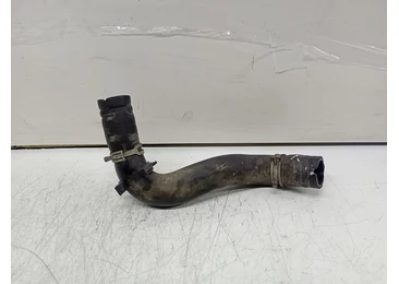 Furtun apa Citroen C3 1 (2002 - 2010) 1.6 i FX6B
