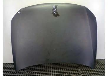 Capota motor Volkswagen Passat B6 (2005 - 2010) 2.0 tdi BKP
