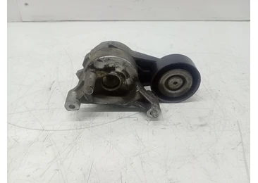 Rola intinzatoare 1023674 Volkswagen Passat B6 (2005 - 2010) 2.0 tdi BKP