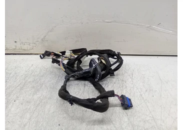 Cablaj electric usa fata stanga 8200504970-D Renault Clio 3 (2005 - 2009) 1.6 benzina K4M801