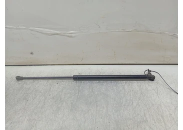 Amortizor haion 8198289 Nissan X-Trail T30 (2001 - 2004)