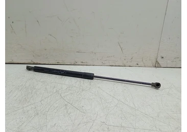 Amortizor haion 904529943R Dacia Sandero 2 (2013 - 2016)