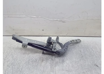 Balama haion 7206639 stanga BMW Seria 5 F07/F10/F11 (2009 - 2013) 2.0 d N47