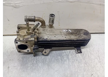 Racitor gaze EGR 038131513D Volkswagen Golf 4 (1997 - 2006) 1.9 tdi AXR