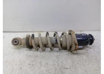 Amortizor dreapta spate Toyota Avensis 2 T25 (2002 - 2006)