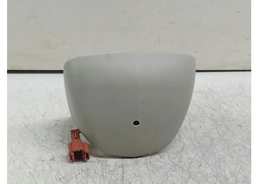 Ornament bord 8200427013 Renault Megane 2 (2002 - 2006)