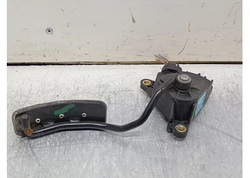 Pedala acceleratie 8200414519 Renault Megane 2 (2002 - 2006)