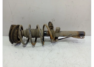Amortizor cu arc stanga fata Renault Megane 2 (2002 - 2006) F9Q804