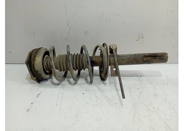 Amortizor cu arc dreapta fata Renault Megane 2 (2002 - 2006) F9Q804