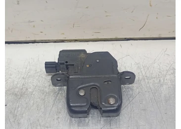 Broasca haion 846300003R Renault Scenic 3 (2009 - 2012)