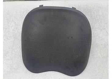 Ornament interior 8200502411 Renault Megane 2 (2002 - 2006) k4j-d7