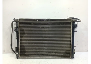 Radiator apa Hyundai Sonata NF (2005 - 2008) - miniatura 2