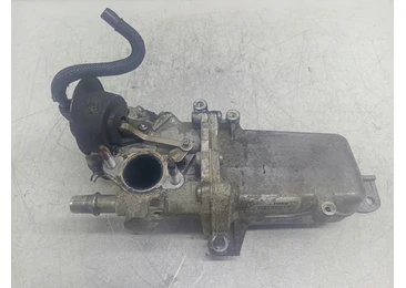 Racitor gaze EGR Z3686003 Renault Master 3 (2st facelift) (2019 - 2024) M9T710