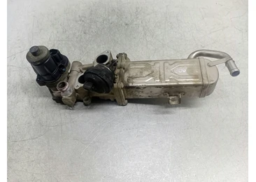 Racitor gaze EGR 709720000 Volkswagen Passat CC 1 (2008 - 2012) CFGB