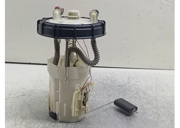 Pompa combustibil rezervor 172027123R Dacia Dokker 1 (2012 - 2017) - miniatura 2
