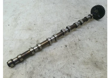 Ax cu came 1131779157902 BMW Seria 7 E65/E66 (facelift) (2005 - 2008) M57N2