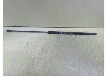 Amortizor capota 3C0823359A Audi A4 B7 (2004 - 2008) BPW