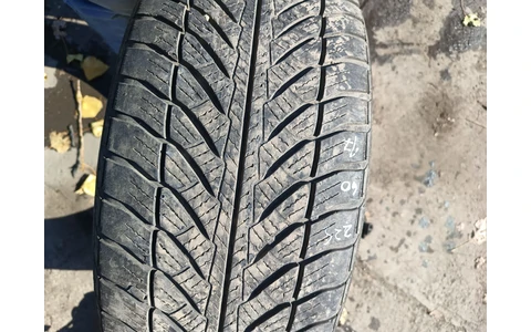 Anvelopa 225/55/R17 Goodyear Iarna Skoda Octavia 2 (facelift) (2008 - 2013) - imagine 5