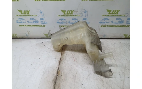 Vas expansiune 217100014r Renault Laguna 3 (2007 - 2011) - imagine 2