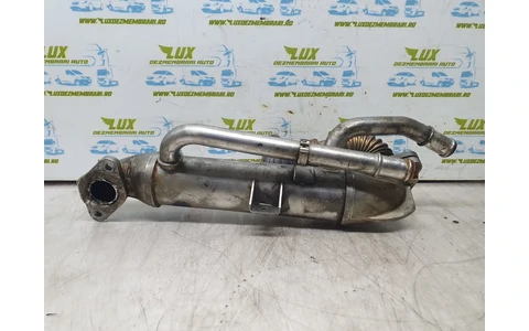 Racitor gaze EGR 038131513s Audi A4 B7 (2004 - 2008) - imagine 3
