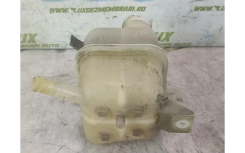 Vas expansiune Nissan X-Trail T31 (2007 - 2011) - imagine 2