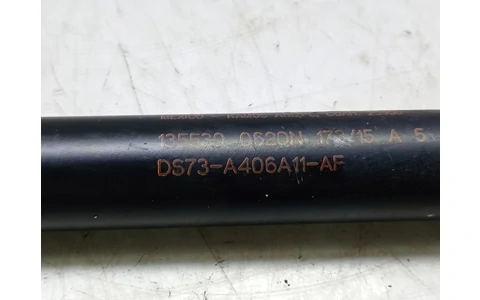 Amortizor haion ds73-a406a11-af Ford Mondeo MK5 (2014 - 2020) - imagine 2