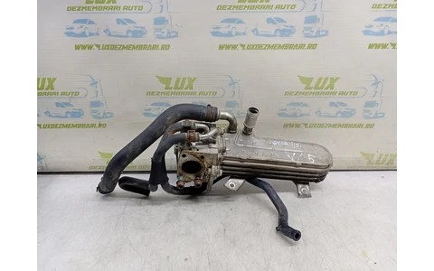 Racitor gaze EGR 038131513 Volkswagen Golf 5 (2003 - 2009) - imagine 3