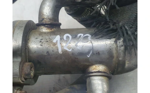EGR 700020250 Opel Astra H (2004 - 2007) - imagine 4