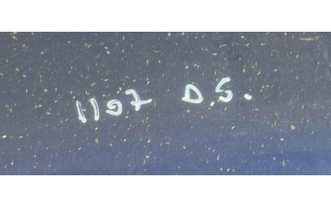 Fata usa dreapta spate Volkswagen Golf 5 (2003 - 2009) - imagine 2