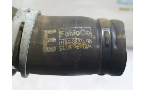 Furtun apa h1bg-88274-bb Ford Fiesta 7 (2017 - 2020) - imagine 2