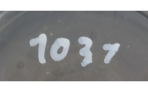 Compresor clima ac 6Q0820808F Seat Ibiza 4 (6J) (2008 - 2012) - imagine 3