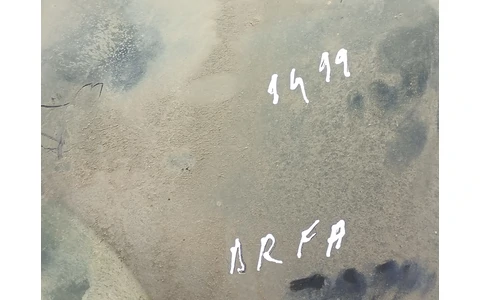 Carenaj roata fata dreapta Fiat Tipo 160 (1987 - 1995) - imagine 3