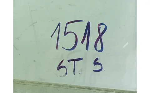 Geam stanga spate Renault Megane 2 (2002 - 2006) - imagine 3