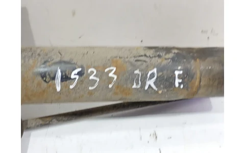 Amortizor cu arc dreapta fata Renault Megane 2 (2002 - 2006) - imagine 2