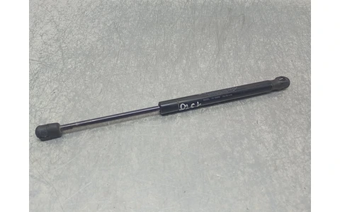 Amortizor haion 8200119497 Renault Megane 2 (2002 - 2006) - imagine 4